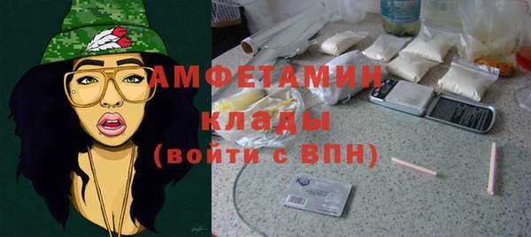 ГАЛЛЮЦИНОГЕННЫЕ ГРИБЫ Алзамай