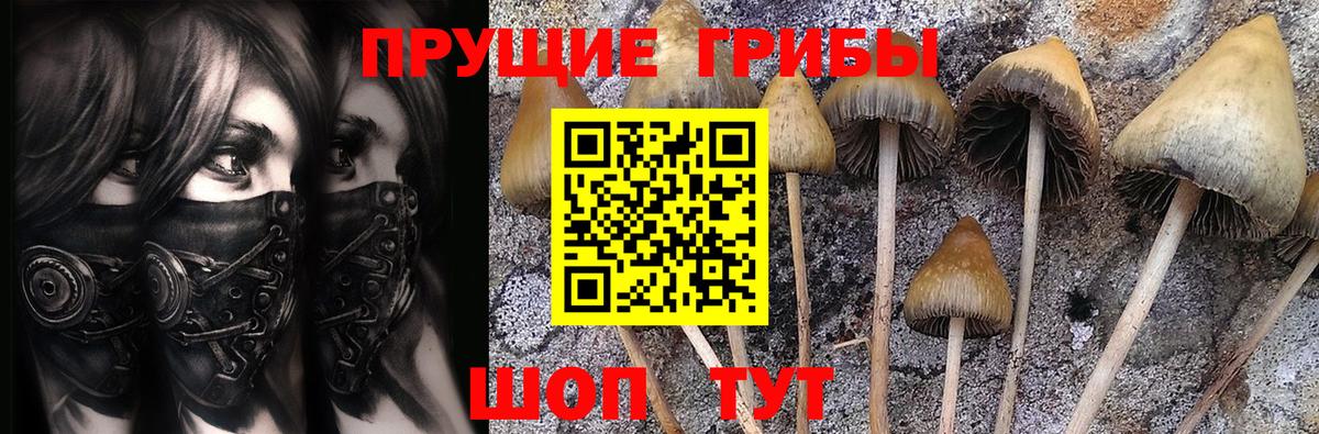 Псилоцибиновые грибы Magic Shrooms  Вход с VPN  Сарапул 